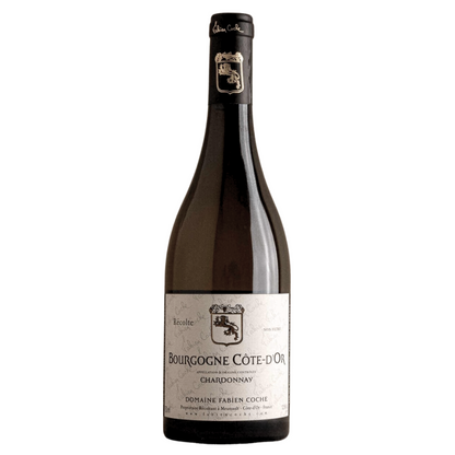 Domaine Fabien Coche Bourgogne Cote D'Or Chardonnay 750ml Burgundy White Wine - Grand Vin Pte Ltd