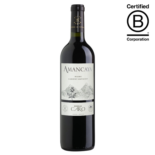 Amancaya 750ml Malbec Red Wine - Grand Vin Pte Ltd