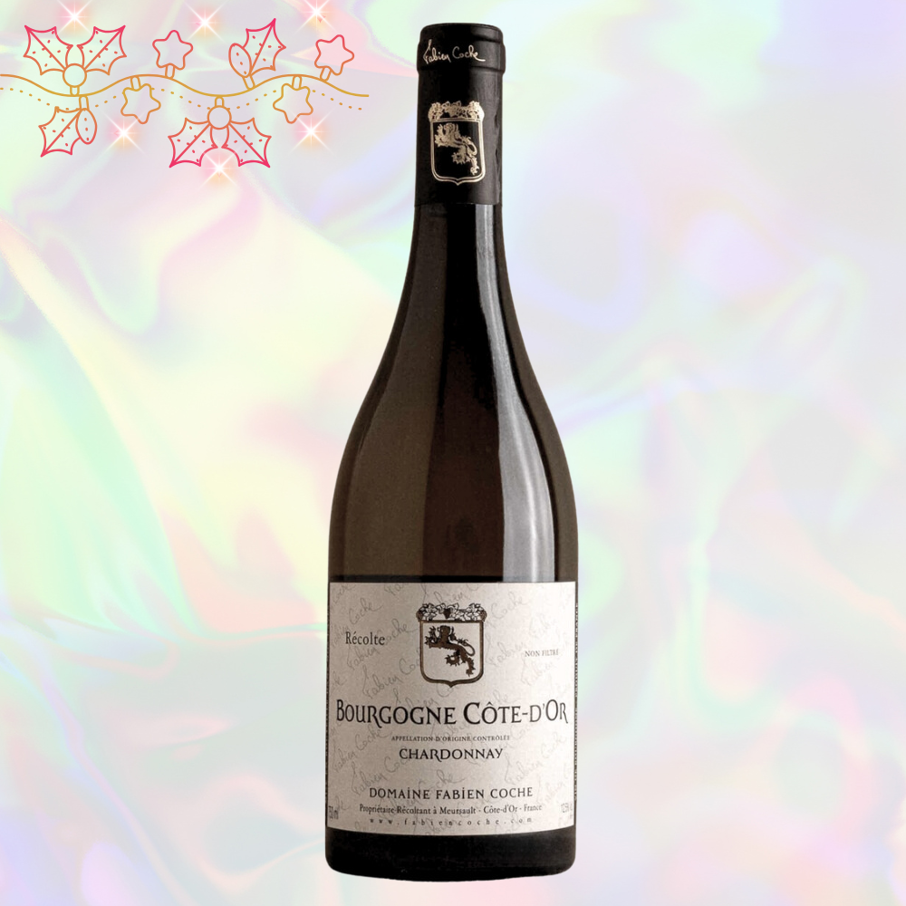 Fabien Coche Bourgogne Chardonnay 750ml Burgundy White Wine - Grand Vin Pte Ltd